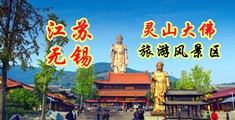 女生内设网站江苏无锡灵山大佛旅游风景区